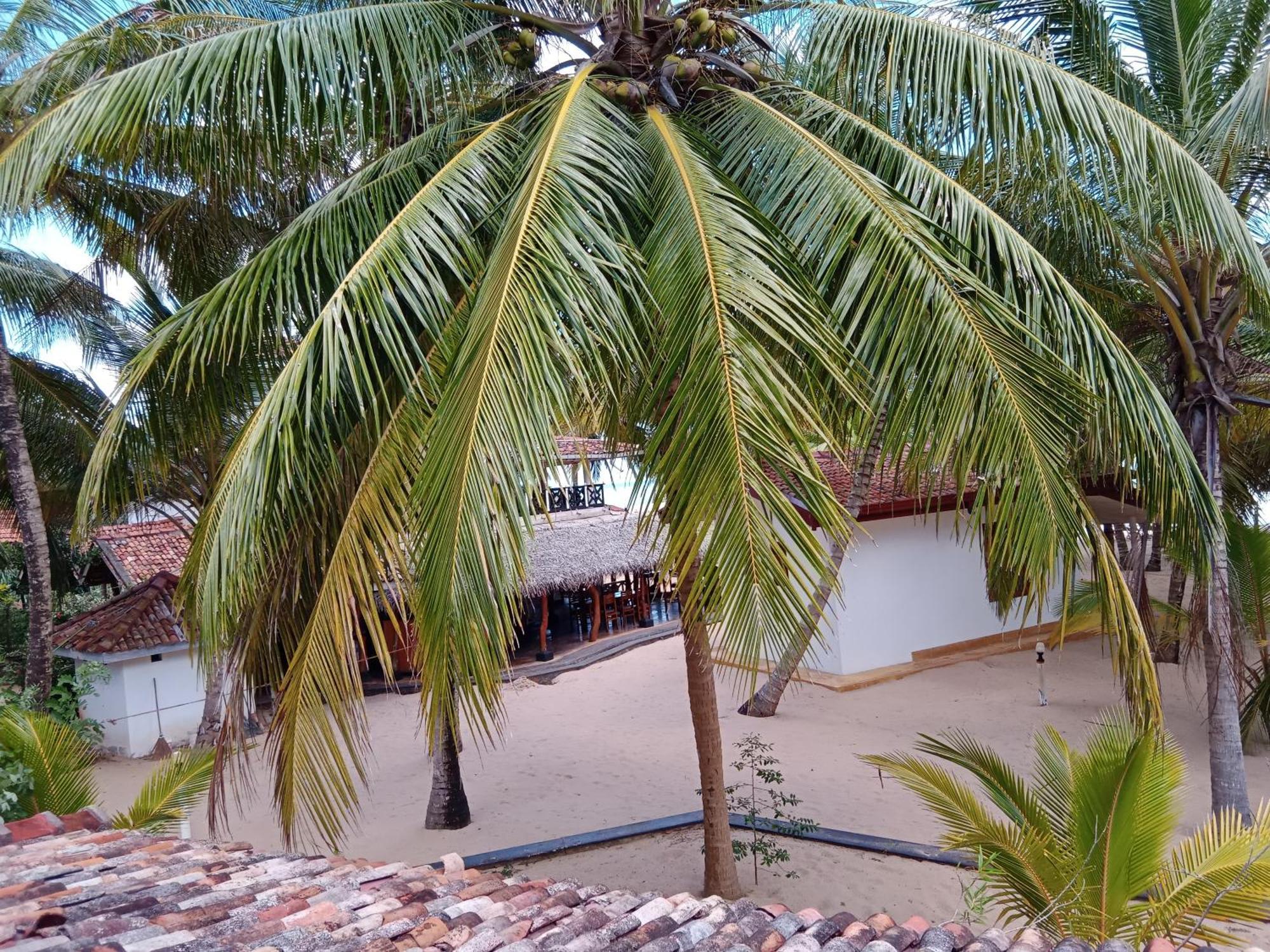 Ibisbird Beach Bungalows, Sport, Spa And Restaurant Tangalle Εξωτερικό φωτογραφία